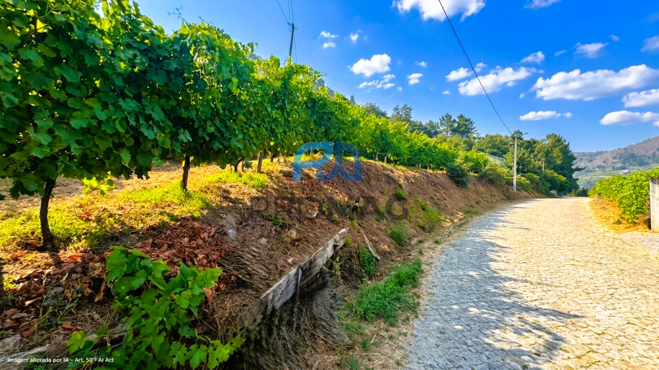 Terreno para Venda em Santa Marinha do Zezere Foto 6