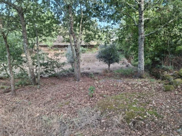 Terreno para Venda em Boa Aldeia, Farminhão e Torredeita