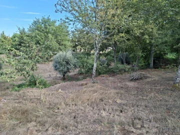 Terreno para Venda em Boa Aldeia, Farminhão e Torredeita