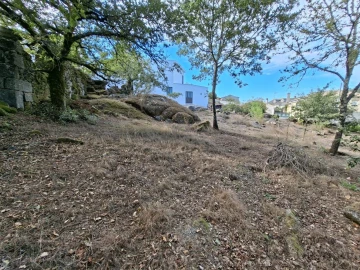 Terreno para Venda em Boa Aldeia, Farminhão e Torredeita