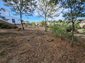 Terreno para Venda em Boa Aldeia, Farminhão e Torredeita