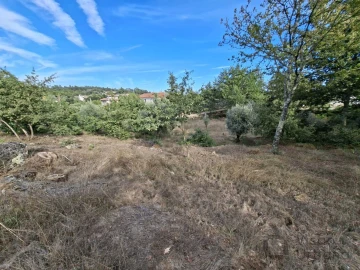 Terreno para Venda em Boa Aldeia, Farminhão e Torredeita