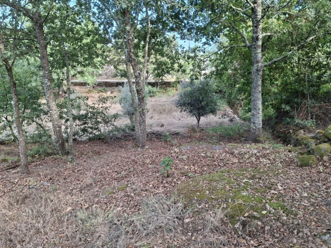 Terreno para Venda em Boa Aldeia, Farminhão e Torredeita Foto 8