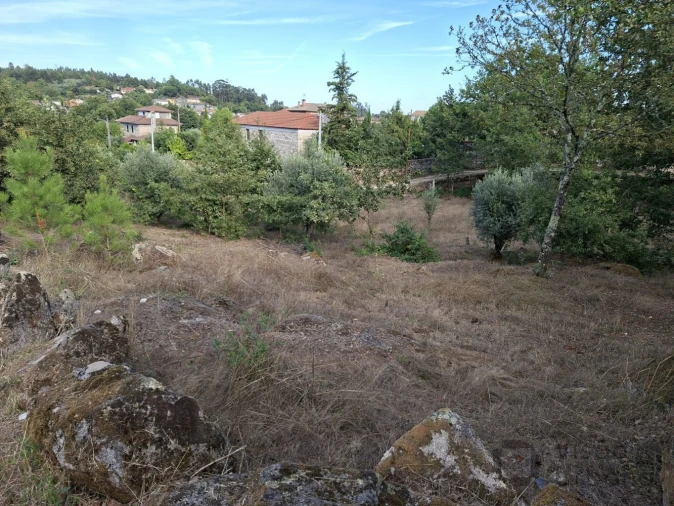 Terreno para Venda em Boa Aldeia, Farminhão e Torredeita Foto 10