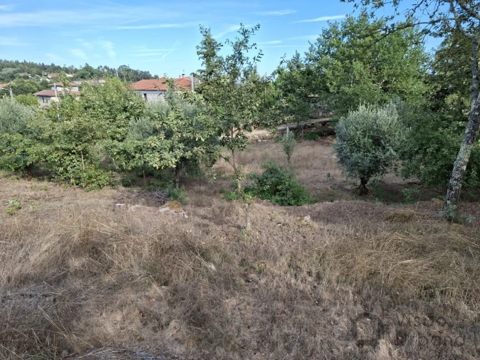 Terreno para Venda em Boa Aldeia, Farminhão e Torredeita Foto 11