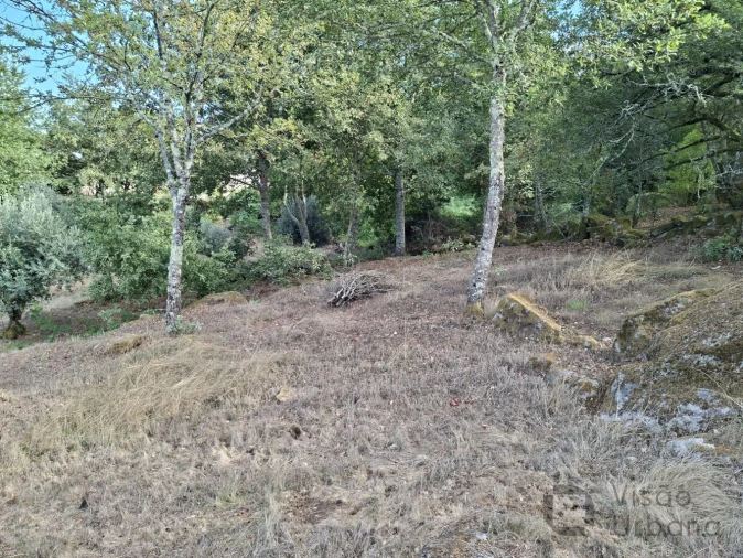 Terreno para Venda em Boa Aldeia, Farminhão e Torredeita Foto 7