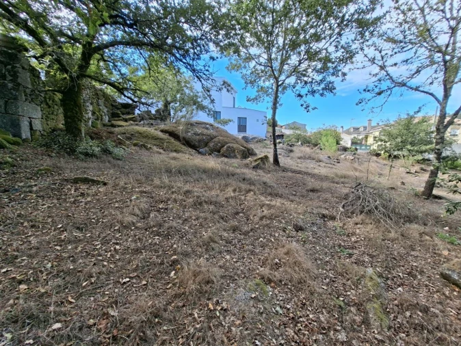 Terreno para Venda em Boa Aldeia, Farminhão e Torredeita Foto 3
