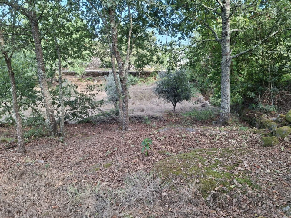 Terreno para Venda em Boa Aldeia, Farminhão e Torredeita Foto 9