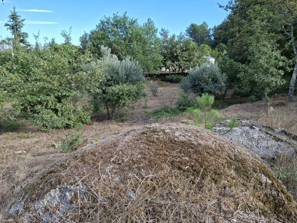 Terreno para Venda em Boa Aldeia, Farminhão e Torredeita Foto 18