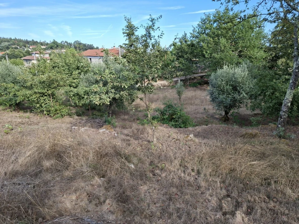 Terreno para Venda em Boa Aldeia, Farminhão e Torredeita Foto 11