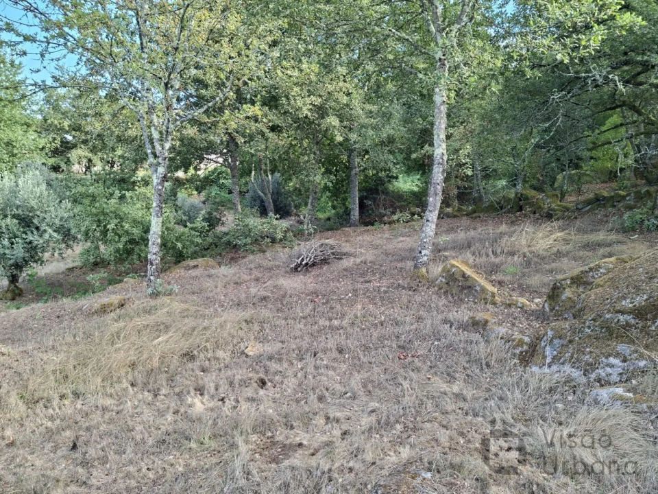 Terreno para Venda em Boa Aldeia, Farminhão e Torredeita Foto 7