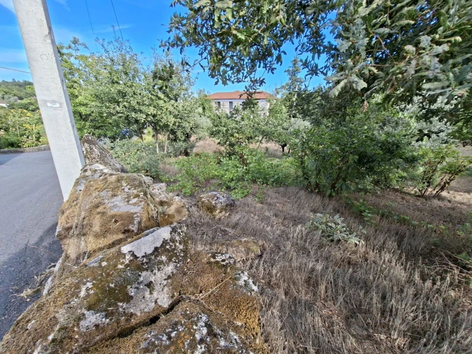 Terreno para Venda em Boa Aldeia, Farminhão e Torredeita Foto 4