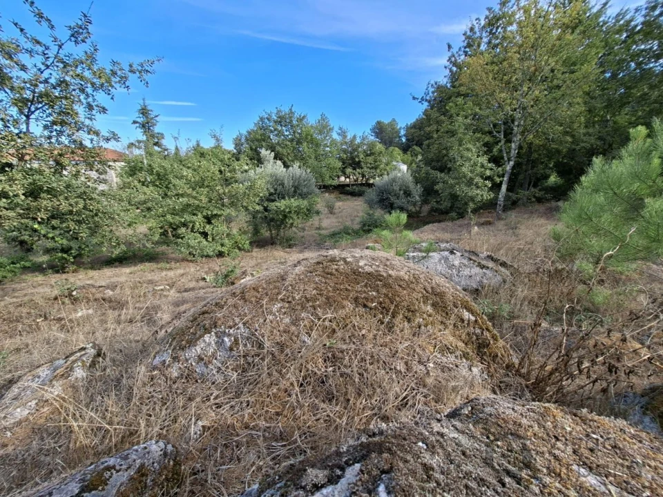 Terreno para Venda em Boa Aldeia, Farminhão e Torredeita Foto 16