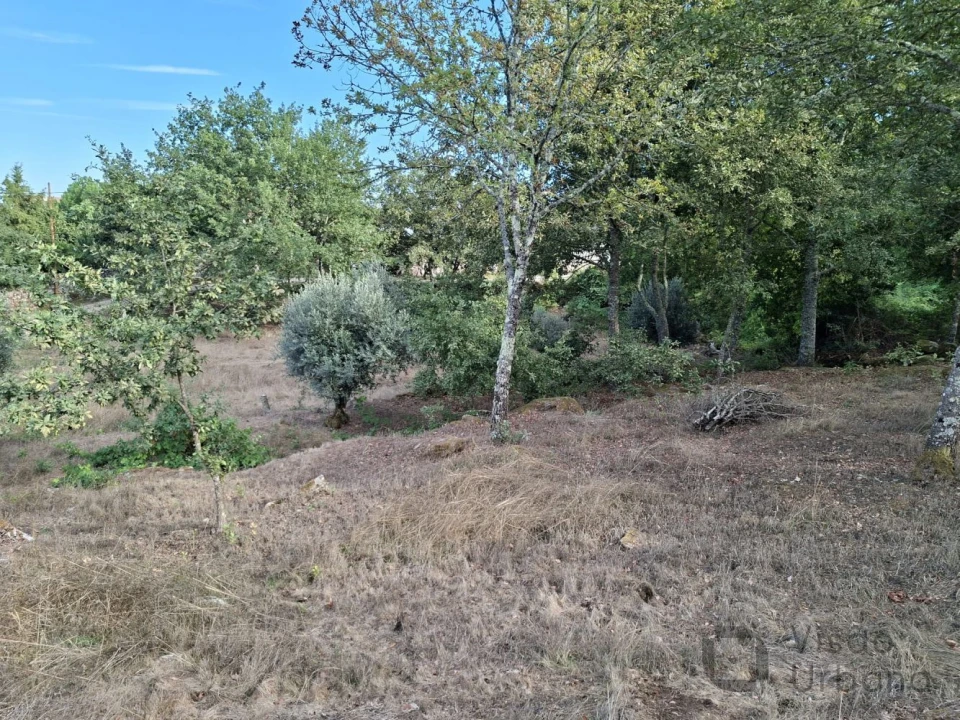 Terreno para Venda em Boa Aldeia, Farminhão e Torredeita Foto 2