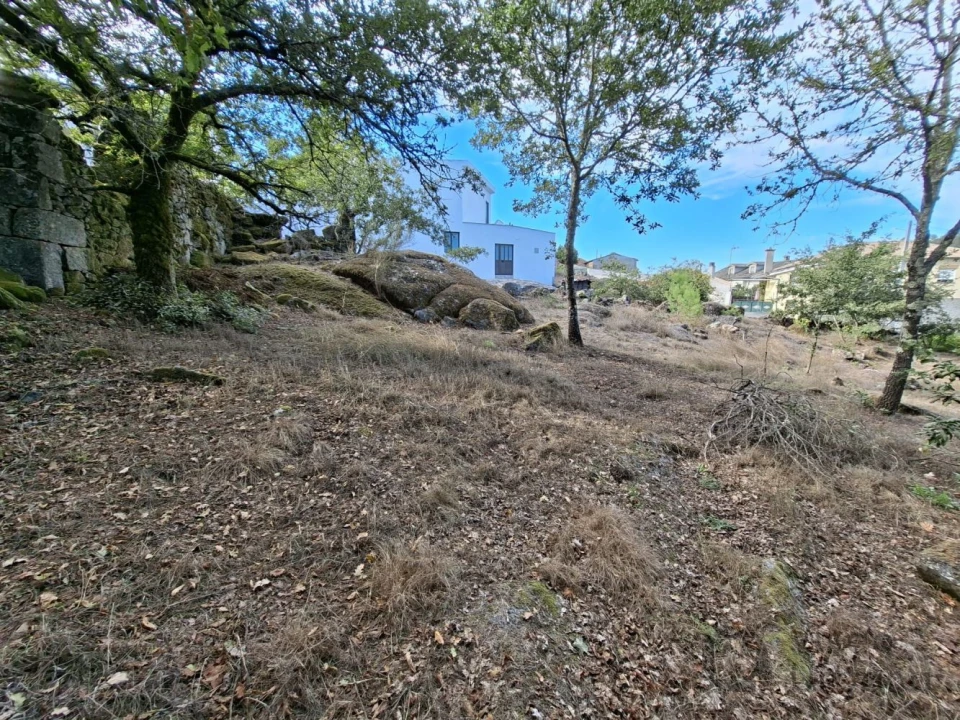Terreno para Venda em Boa Aldeia, Farminhão e Torredeita Foto 3
