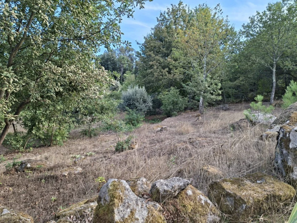 Terreno para Venda em Boa Aldeia, Farminhão e Torredeita Foto 17
