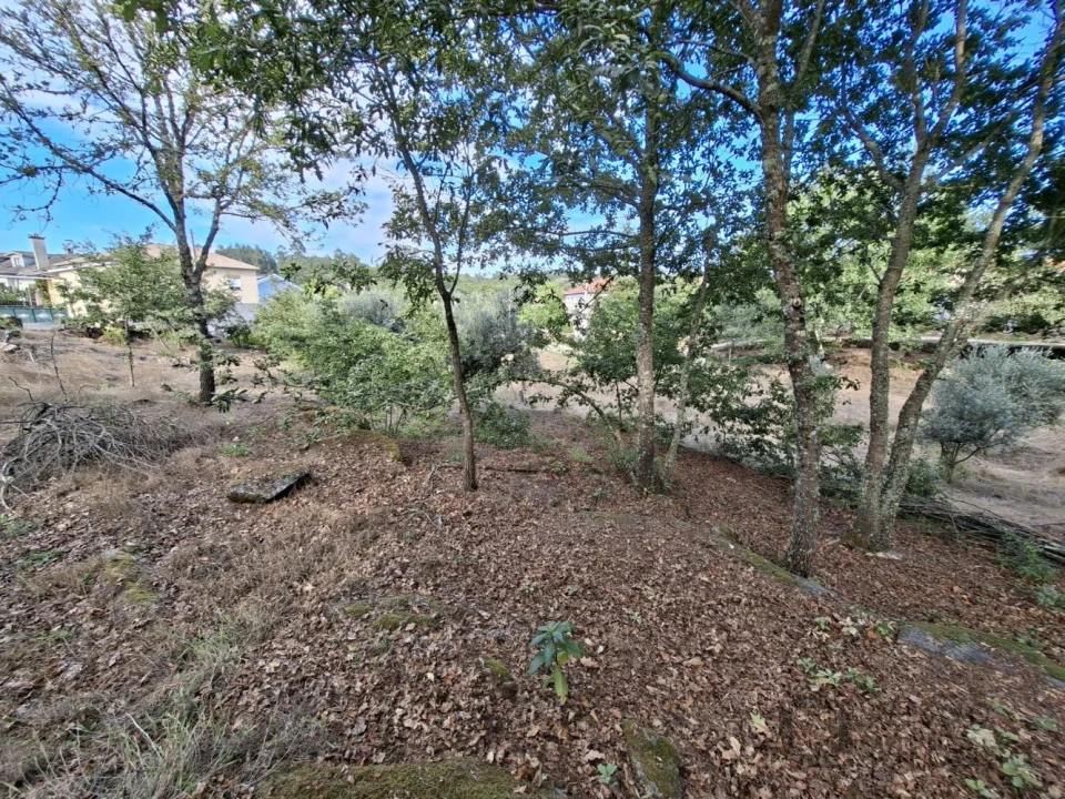 Terreno para Venda em Boa Aldeia, Farminhão e Torredeita Foto 19