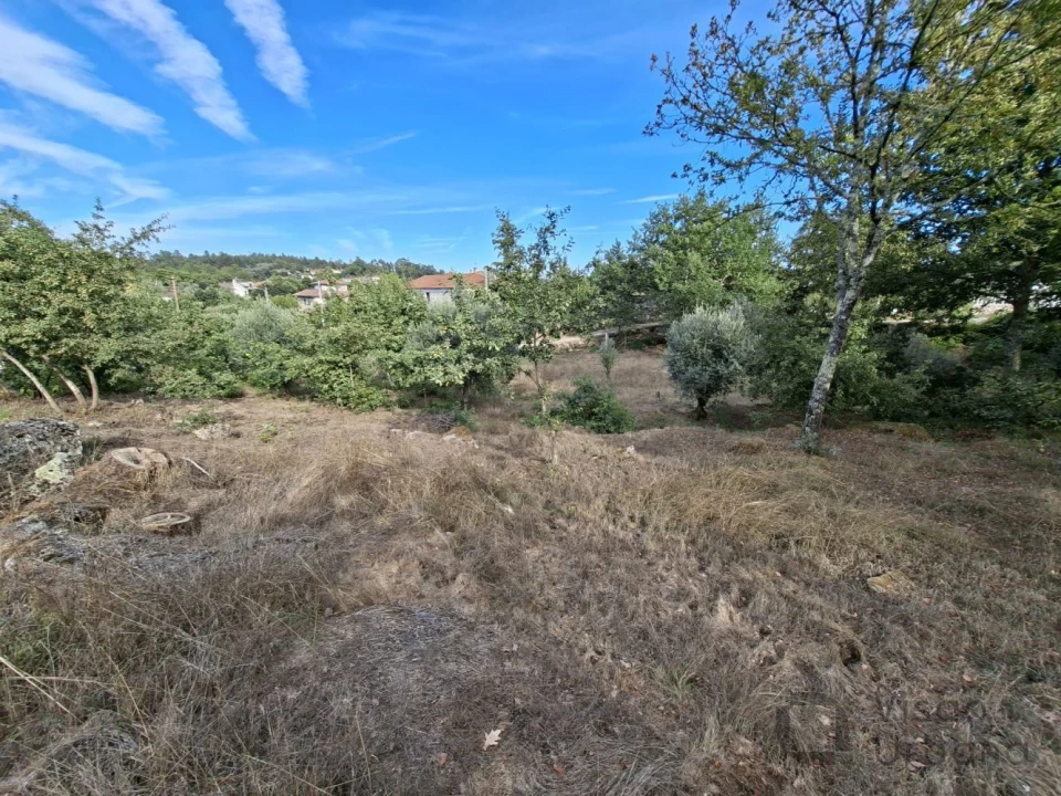 Terreno para Venda em Boa Aldeia, Farminhão e Torredeita Foto 13
