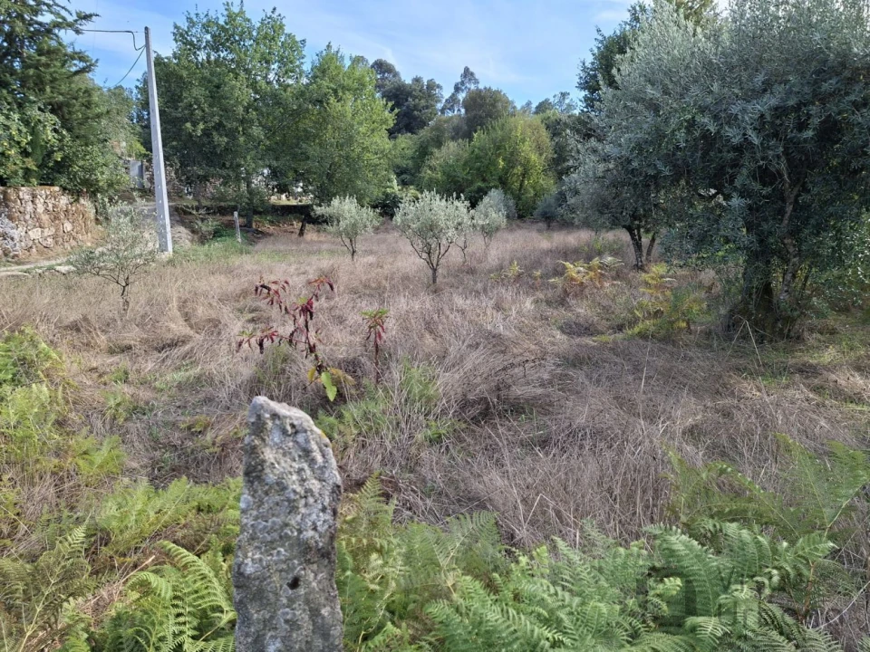 Terreno para Venda em Boa Aldeia, Farminhão e Torredeita Foto 12