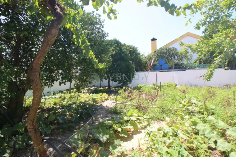 Terreno para Venda em Pinhal Novo Foto 33
