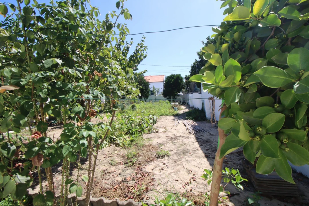Terreno para Venda em Pinhal Novo Foto 28