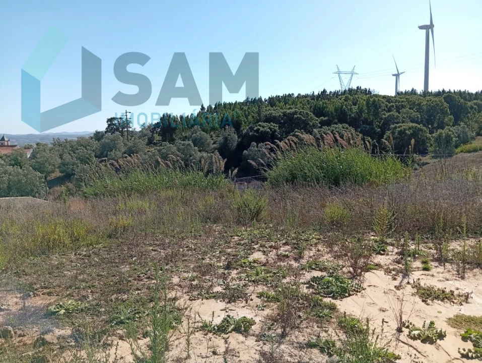 Terreno para Venda em Carvoeira e Carmões Foto 7