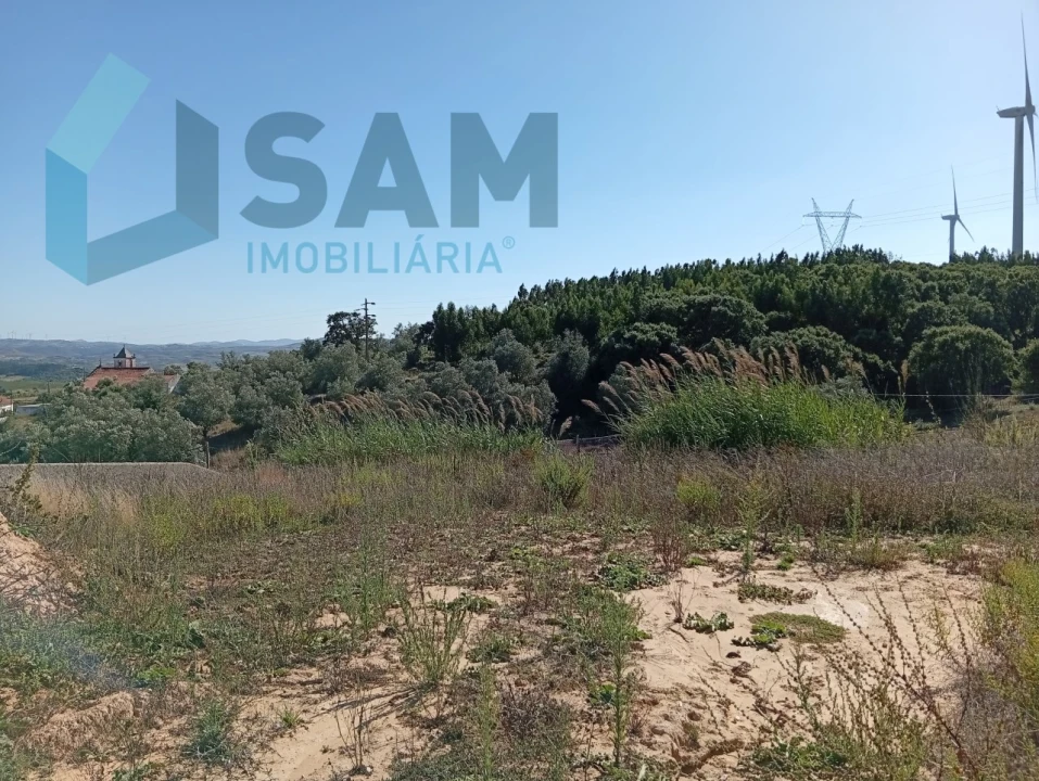 Terreno para Venda em Carvoeira e Carmões Foto 11