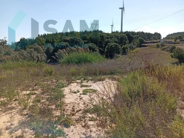 Terreno para Venda em Carvoeira e Carmões