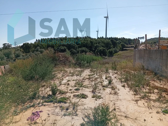 Terreno para Venda em Carvoeira e Carmões Foto 5