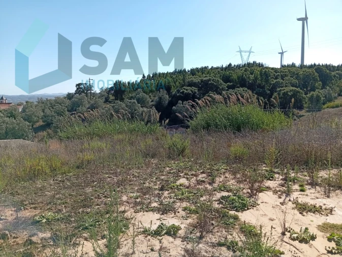 Terreno para Venda em Carvoeira e Carmões Foto 7