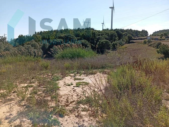 Terreno para Venda em Carvoeira e Carmões Foto 9