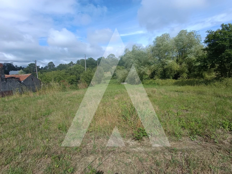 Terreno para Venda em Palhaça Foto 1