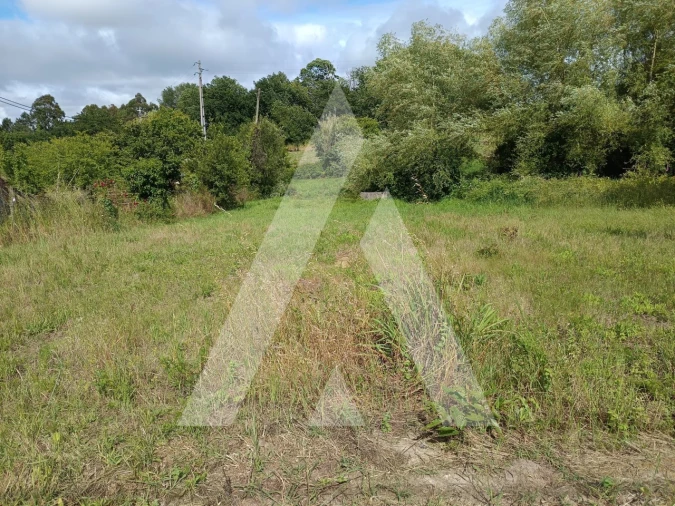 Terreno para Venda em Palhaça Foto 2