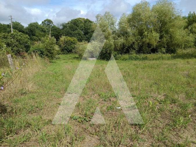 Terreno para Venda em Palhaça Foto 3