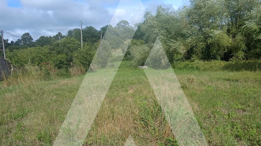 Terreno para Venda em Palhaça