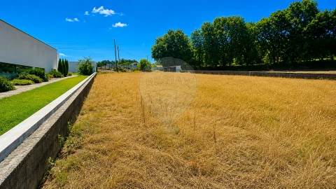 Terreno para Venda em Caldas de São Jorge e Pigeiros