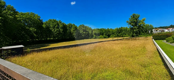 Terreno para Venda em Caldas de São Jorge e Pigeiros