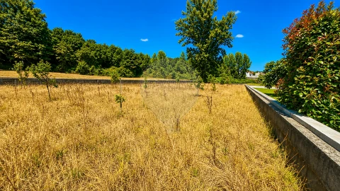 Terreno para Venda em Caldas de São Jorge e Pigeiros