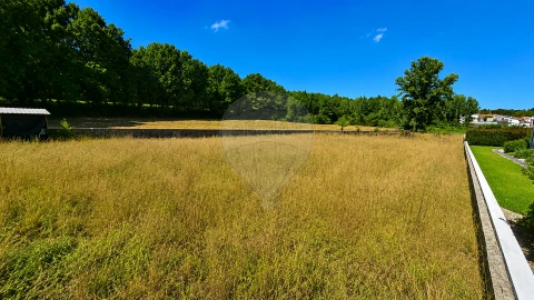Terreno para Venda em Caldas de São Jorge e Pigeiros