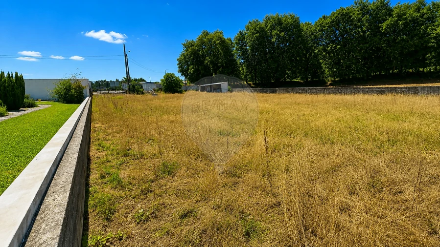 Terreno para Venda em Caldas de São Jorge e Pigeiros Foto 3