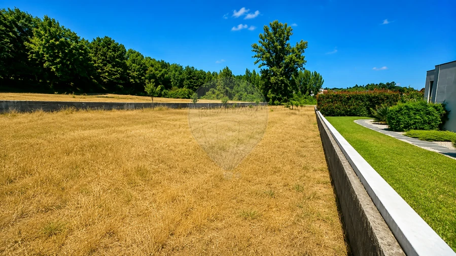 Terreno para Venda em Caldas de São Jorge e Pigeiros Foto 2