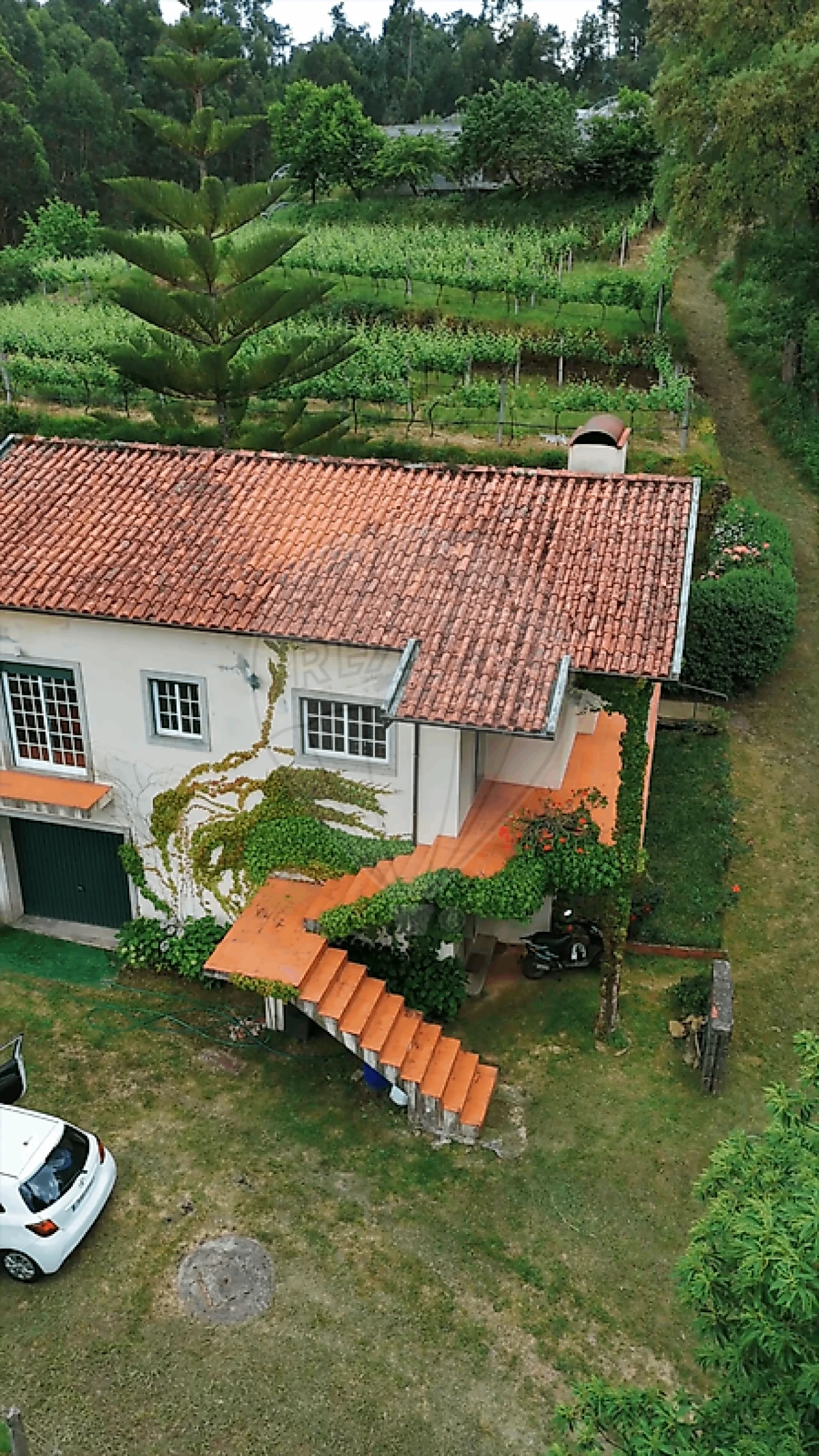 Moradia T2 para Arrendamento em Arnoia Foto 2