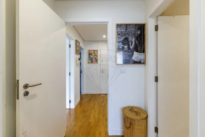 Apartamento T1 para Arrendamento em Ramalde