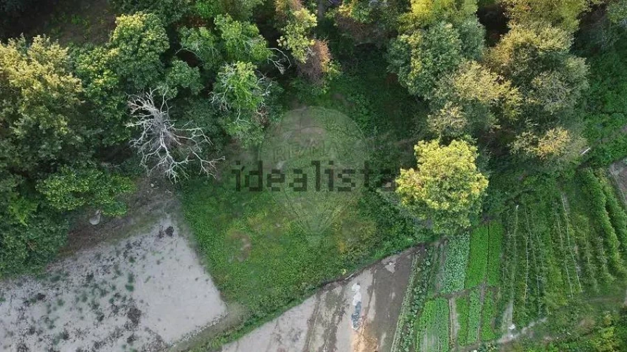 Moradia T1 para Venda em Campos e Louredo Foto 20