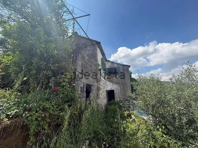 Moradia T1 para Venda em Freitas e Vila Cova Foto 23