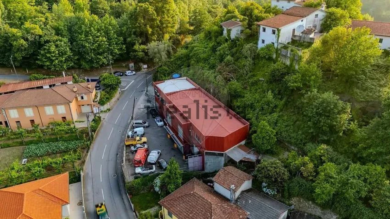 Negócio para Venda em Moimenta Foto 3