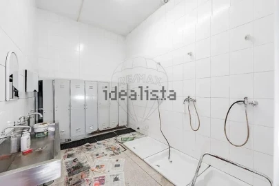 Negócio para Venda em Moimenta