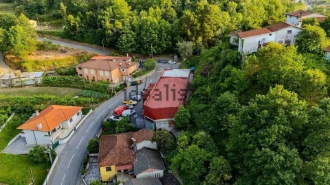 Negócio para Venda em Moimenta