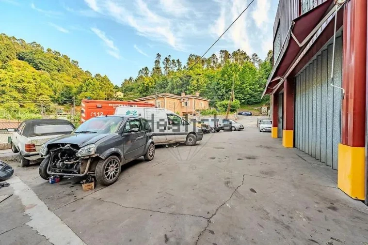 Negócio para Venda em Moimenta Foto 21
