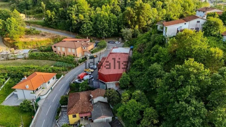 Negócio para Venda em Moimenta Foto 4